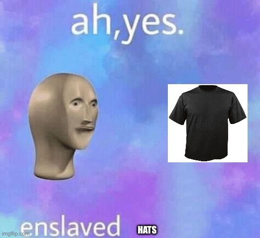 Ah Yes enslaved | HATS | image tagged in ah yes enslaved | made w/ Imgflip meme maker