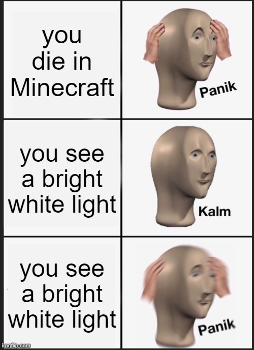 o well ¯\_(ツ)_/¯ | you die in Minecraft; you see a bright white light; you see a bright white light | image tagged in memes,panik kalm panik | made w/ Imgflip meme maker