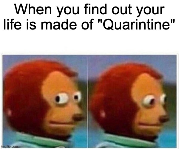 Quarintiens | When you find out your life is made of "Quarintine" | image tagged in memes,monkey puppet | made w/ Imgflip meme maker