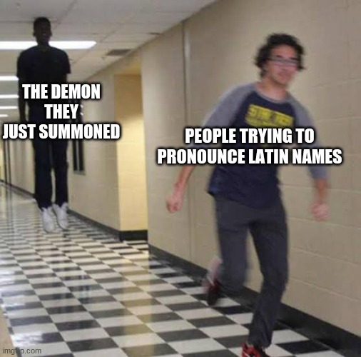 Running away from floating man | THE DEMON THEY JUST SUMMONED; PEOPLE TRYING TO PRONOUNCE LATIN NAMES | image tagged in running away from floating man | made w/ Imgflip meme maker