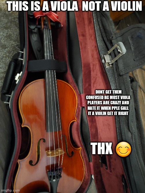 As u can tell I play the VIOLA :) | THIS IS A VIOLA  NOT A VIOLIN; DONT GET THEM CONFUSED BC MOST VIOLA PLAYERS ARE CRAZY AND HATE IT WHEN PPLE CALL IT A VIOLIN GET IT RIGHT; THX 😊 | image tagged in viola | made w/ Imgflip meme maker