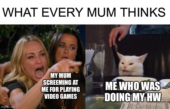 Why, is this so true | WHAT EVERY MUM THINKS; MY MUM SCREEMING AT ME FOR PLAYING VIDEO GAMES; ME WHO WAS DOING MY HW | image tagged in memes,woman yelling at cat | made w/ Imgflip meme maker