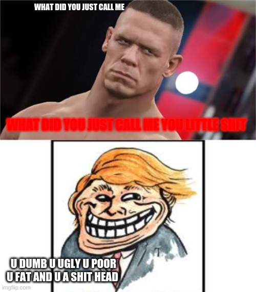 WHAT DID YOU JUST CALL ME; WHAT DID YOU JUST CALL ME YOU LITTLE SHIT; U DUMB U UGLY U POOR U FAT AND U A SHIT HEAD | image tagged in nani jhon cena | made w/ Imgflip meme maker