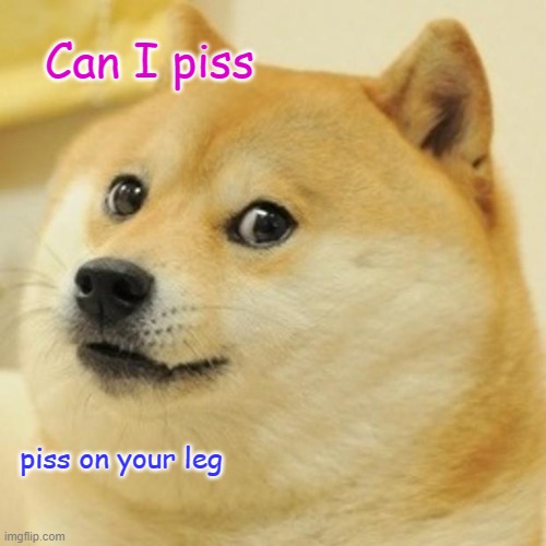 Doge Meme | Can I piss; piss on your leg | image tagged in memes,doge | made w/ Imgflip meme maker