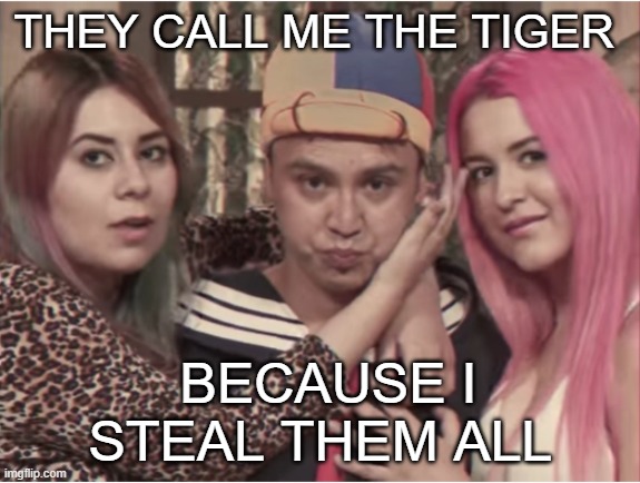 fun | THEY CALL ME THE TIGER; BECAUSE I STEAL THEM ALL | image tagged in memes,funny | made w/ Imgflip meme maker