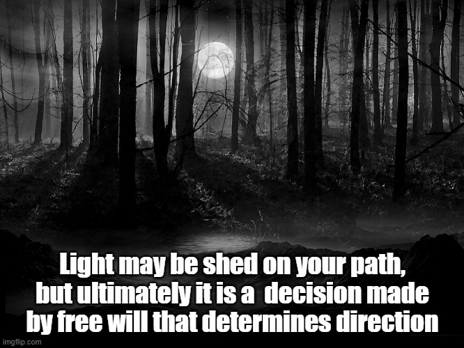 Freewill | Light may be shed on your path, but ultimately it is a  decision made by free will that determines direction | image tagged in freedom | made w/ Imgflip meme maker
