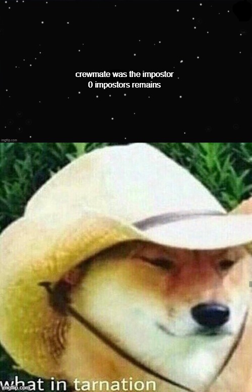 crewmate was the impostor 0 impostors remains | image tagged in x was the impostor,what in tarnation dog | made w/ Imgflip meme maker