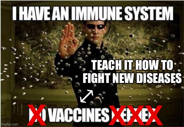 I have an immune system. Vaccines teach if how to fight new diseases. (Corrected COVID-denier meme.) | TEACH IT HOW TO FIGHT NEW DISEASES; ⤢; X; XXX | image tagged in covid-19,vaccines,neo,immune system,the matrix,pandemic | made w/ Imgflip meme maker