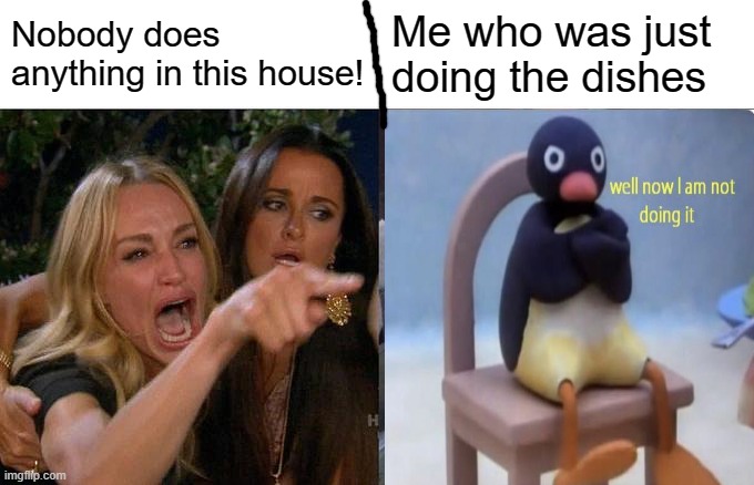 Woman Yelling At Cat Meme | Nobody does anything in this house! Me who was just doing the dishes | image tagged in memes,woman yelling at cat,chores | made w/ Imgflip meme maker
