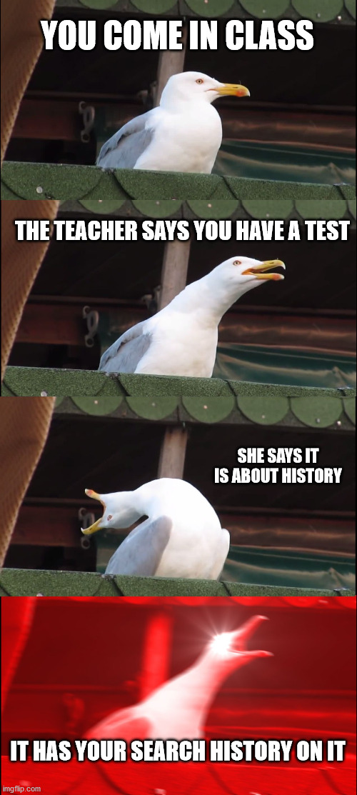 the students are looking at you like- | YOU COME IN CLASS; THE TEACHER SAYS YOU HAVE A TEST; SHE SAYS IT IS ABOUT HISTORY; IT HAS YOUR SEARCH HISTORY ON IT | image tagged in memes,inhaling seagull | made w/ Imgflip meme maker