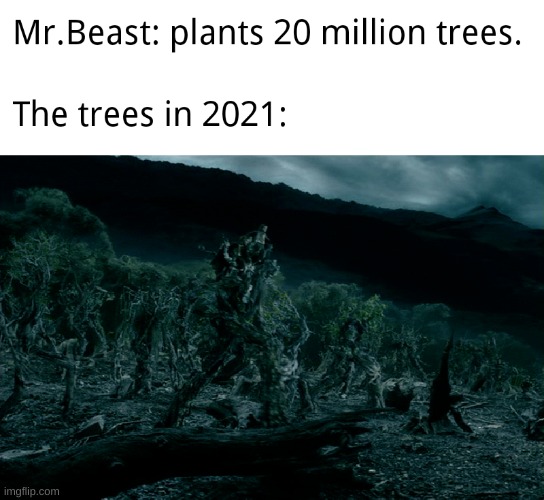 Mr. Beast, no! | image tagged in mr beast no | made w/ Imgflip meme maker