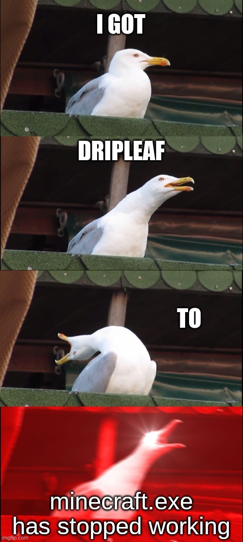 Inhaling Seagull Meme | I GOT; DRIPLEAF; TO; minecraft.exe has stopped working | image tagged in memes,inhaling seagull | made w/ Imgflip meme maker