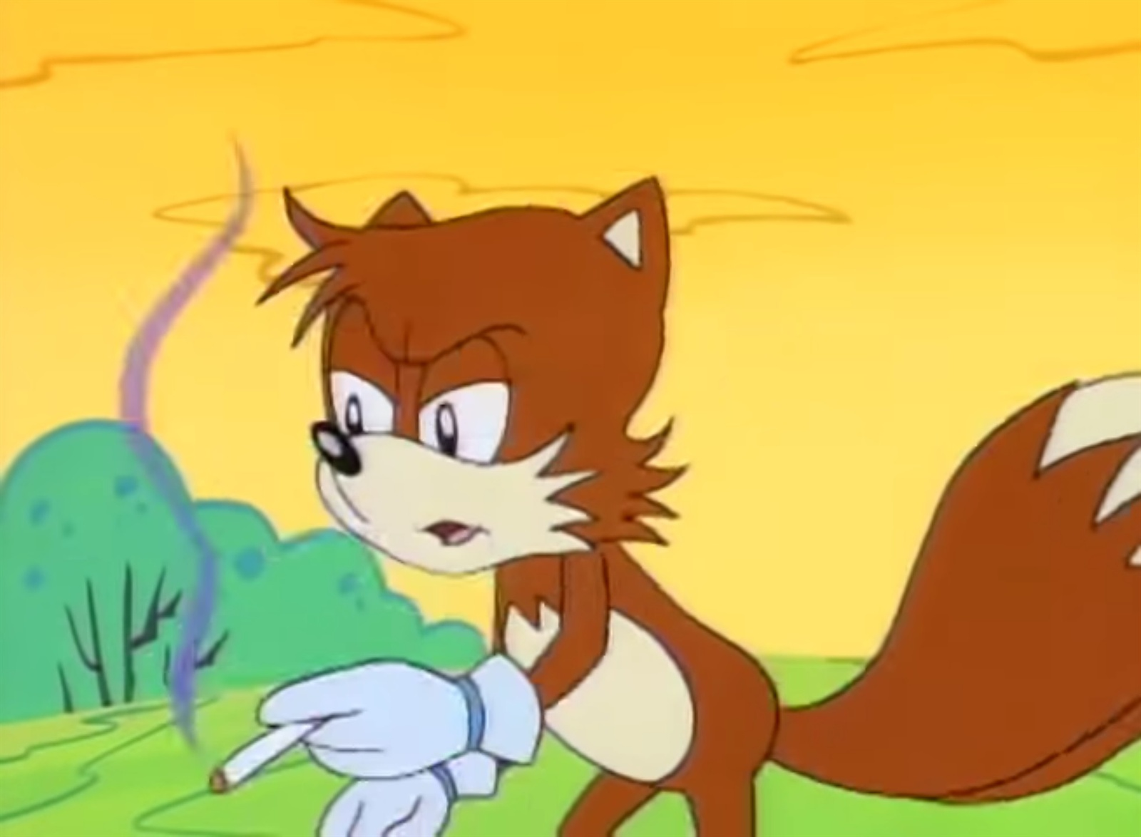 High Quality Tails smoking Blank Meme Template