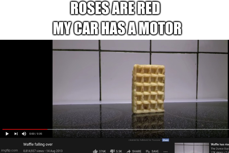Guess what happens | ROSES ARE RED; MY CAR HAS A MOTOR | image tagged in waffles,memes,funny,falling | made w/ Imgflip meme maker