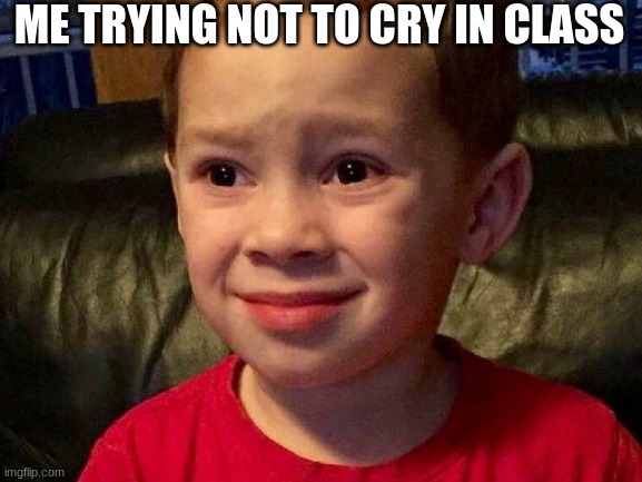 ME TRYING NOT TO CRY IN CLASS | image tagged in funny memes | made w/ Imgflip meme maker