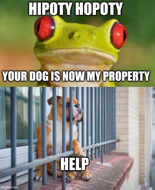 XD | HIPOTY HOPOTY; YOUR DOG IS NOW MY PROPERTY; HELP | image tagged in fun,funny,funny meme,funny memes | made w/ Imgflip meme maker