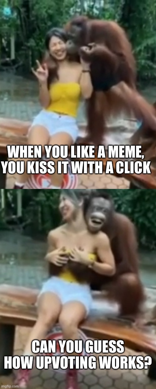 Omg that facial expression, so funny | WHEN YOU LIKE A MEME, YOU KISS IT WITH A CLICK; CAN YOU GUESS HOW UPVOTING WORKS? | image tagged in upvoting | made w/ Imgflip meme maker