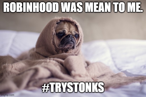 Robinhood was mean to me. | ROBINHOOD WAS MEAN TO ME. #TRYSTONKS | image tagged in stocks,funny dogs | made w/ Imgflip meme maker