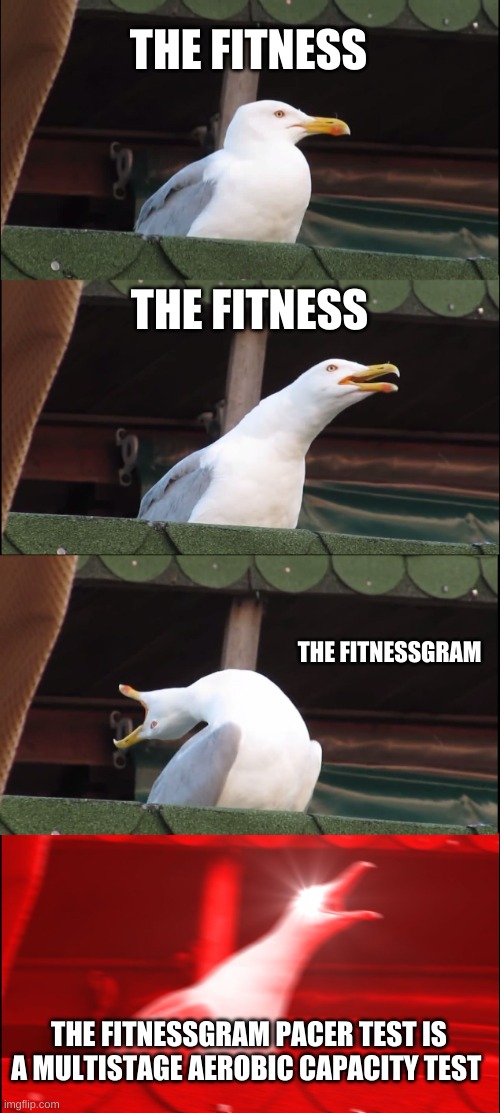 don't mind me just casually trying to bring back a dead meme | THE FITNESS; THE FITNESS; THE FITNESSGRAM; THE FITNESSGRAM PACER TEST IS A MULTISTAGE AEROBIC CAPACITY TEST | image tagged in memes,inhaling seagull | made w/ Imgflip meme maker