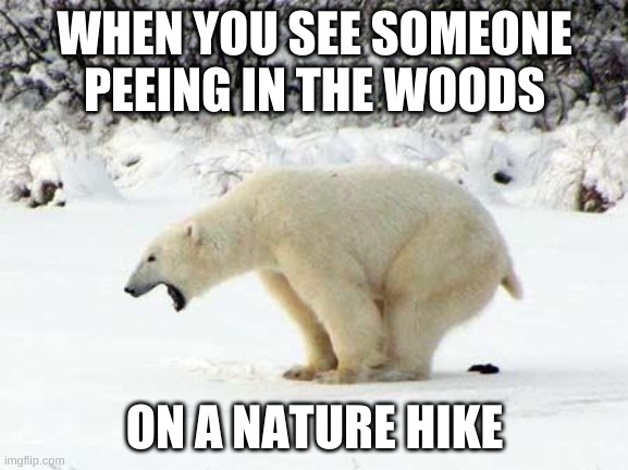 Polar Bear Shits in the Snow | WHEN YOU SEE SOMEONE PEEING IN THE WOODS; ON A NATURE HIKE | image tagged in polar bear shits in the snow | made w/ Imgflip meme maker