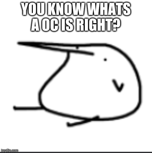 BERD | YOU KNOW WHATS A OC IS RIGHT? | image tagged in berd | made w/ Imgflip meme maker