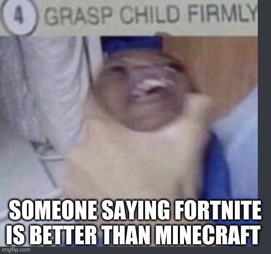 Grasp child firmly | SOMEONE SAYING FORTNITE IS BETTER THAN MINECRAFT | image tagged in grasp child firmly | made w/ Imgflip meme maker