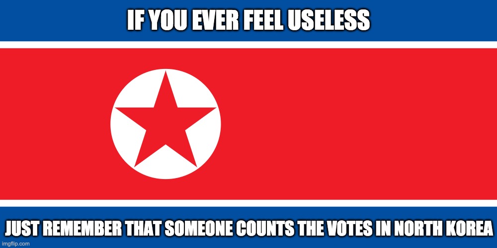 Why do they even have elections? | IF YOU EVER FEEL USELESS; JUST REMEMBER THAT SOMEONE COUNTS THE VOTES IN NORTH KOREA | image tagged in north korea | made w/ Imgflip meme maker