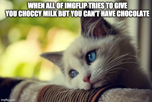 First World Problems Cat | WHEN ALL OF IMGFLIP TRIES TO GIVE YOU CHOCCY MILK BUT YOU CAN'T HAVE CHOCOLATE | image tagged in memes,first world problems cat | made w/ Imgflip meme maker