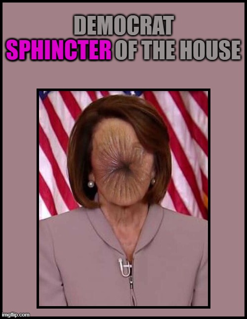 DEMOCRAT SPHINCTER OF THE HOUSE; SPHINCTER | made w/ Imgflip meme maker