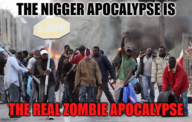 THE NIGGER APOCALYPSE IS; THE REAL ZOMBIE APOCALYPSE | made w/ Imgflip meme maker