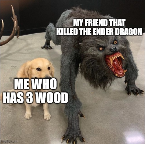 dog vs werewolf | MY FRIEND THAT KILLED THE ENDER DRAGON; ME WHO HAS 3 WOOD | image tagged in dog vs werewolf | made w/ Imgflip meme maker