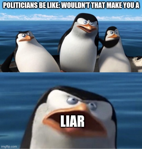 Wouldn't that make you | POLITICIANS BE LIKE: WOULDN'T THAT MAKE YOU A; LIAR | image tagged in wouldn't that make you | made w/ Imgflip meme maker