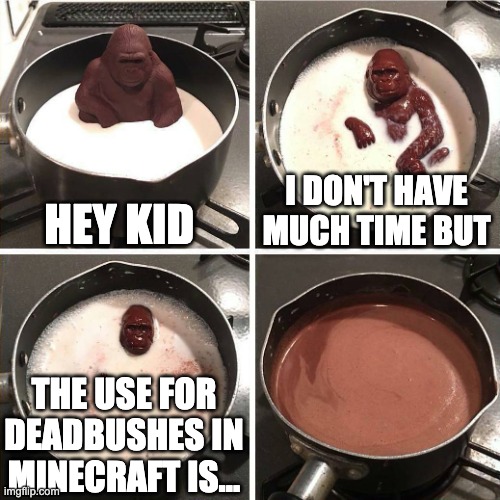 chocolate gorilla | HEY KID; I DON'T HAVE MUCH TIME BUT; THE USE FOR DEADBUSHES IN MINECRAFT IS... | image tagged in chocolate gorilla | made w/ Imgflip meme maker