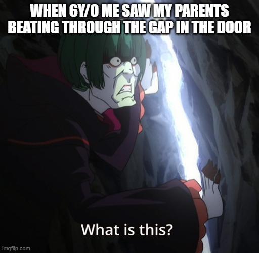 Romani-conti DES | WHEN 6Y/O ME SAW MY PARENTS BEATING THROUGH THE GAP IN THE DOOR | image tagged in animeme | made w/ Imgflip meme maker