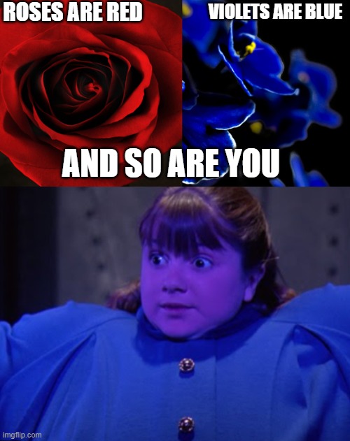 ROSES ARE RED; VIOLETS ARE BLUE; AND SO ARE YOU | image tagged in roses are red violets are blue | made w/ Imgflip meme maker