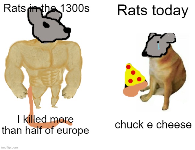 Buff Doge vs. Cheems Meme | Rats in the 1300s; Rats today; I killed more than half of europe; chuck e cheese | image tagged in memes,buff doge vs cheems,rats,plague,virus,funny | made w/ Imgflip meme maker