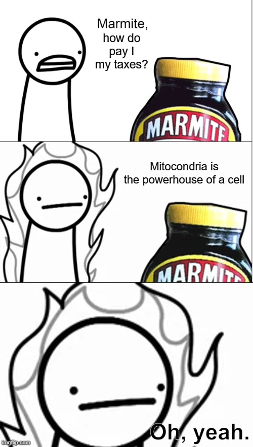 Marmite is a horrible teacher | how do pay I my taxes? Mitocondria is the powerhouse of a cell | image tagged in marmite why does no one like you,taxes,memes,asdfmovie | made w/ Imgflip meme maker