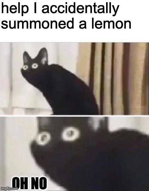 Oh No Black Cat | help I accidentally summoned a lemon OH NO | image tagged in oh no black cat | made w/ Imgflip meme maker