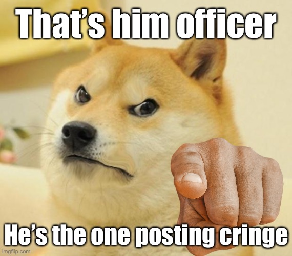 AngryDoge | That’s him officer; He’s the one posting cringe | image tagged in angrydoge | made w/ Imgflip meme maker
