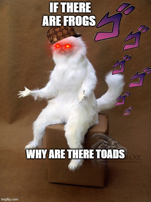 why are there toads | IF THERE ARE FROGS; WHY ARE THERE TOADS | image tagged in memes,persian cat room guardian single | made w/ Imgflip meme maker