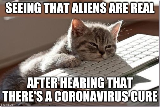 wow not interested | SEEING THAT ALIENS ARE REAL; AFTER HEARING THAT THERE'S A CORONAVIRUS CURE | image tagged in bored keyboard cat | made w/ Imgflip meme maker