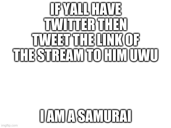 Blank White Template |  IF YALL HAVE TWITTER THEN TWEET THE LINK OF THE STREAM TO HIM UWU; I AM A SAMURAI | image tagged in blank white template | made w/ Imgflip meme maker