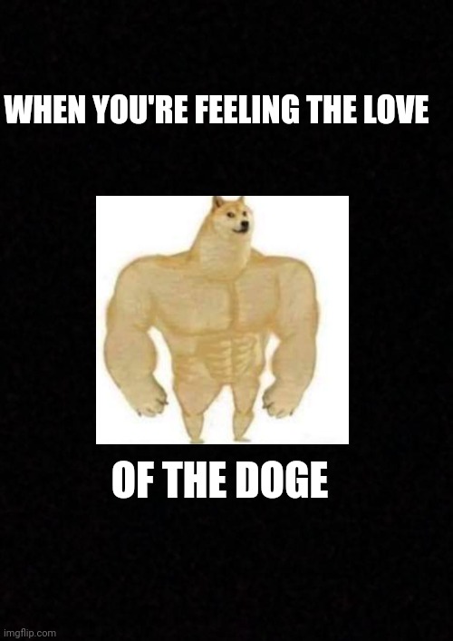 Blank  | WHEN YOU'RE FEELING THE LOVE; OF THE DOGE | image tagged in blank | made w/ Imgflip meme maker