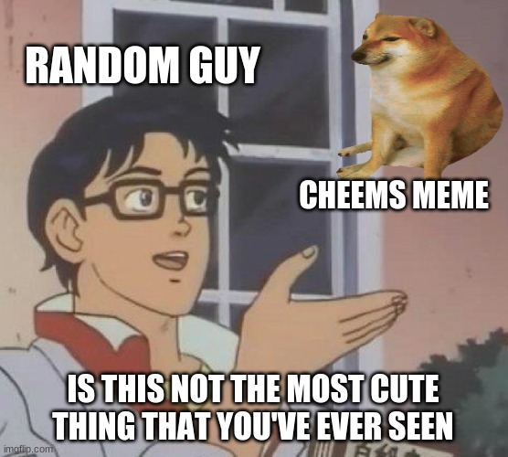 Being New to Meme Culture Be Like | RANDOM GUY; CHEEMS MEME; IS THIS NOT THE MOST CUTE THING THAT YOU'VE EVER SEEN | image tagged in cheems | made w/ Imgflip meme maker