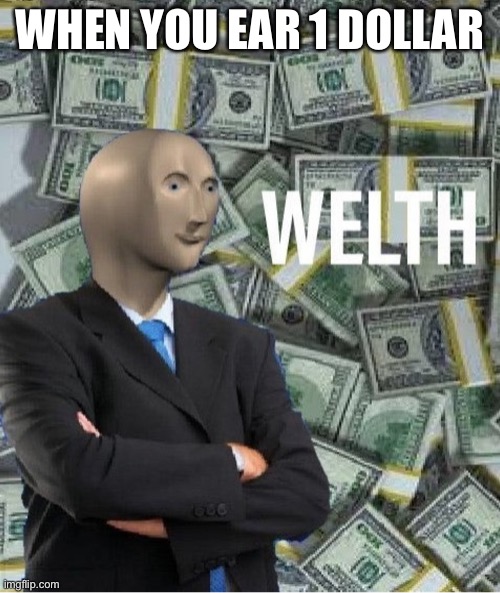 welth |  WHEN YOU EAR 1 DOLLAR | image tagged in welth | made w/ Imgflip meme maker