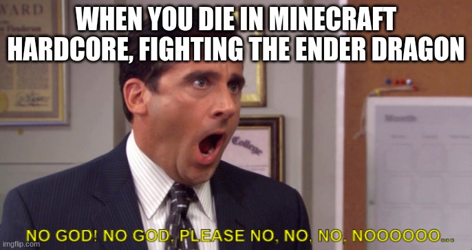 WHEN YOU DIE IN MINECRAFT HARDCORE, FIGHTING THE ENDER DRAGON | image tagged in minecraft,hardcore | made w/ Imgflip meme maker