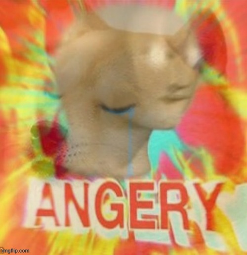 Sad doge angery | image tagged in sad doge angery | made w/ Imgflip meme maker