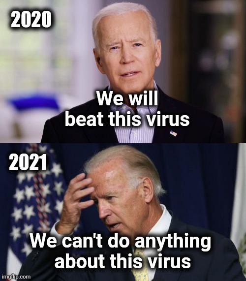 Typical Politician , empty promises | 2020; We will beat this virus; 2021; We can't do anything 
about this virus | image tagged in joe biden 2020,politicians suck,promises,vote for pedro | made w/ Imgflip meme maker