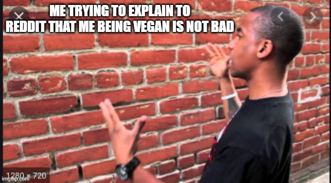 why would you kill animals for a tasty snack? | ME TRYING TO EXPLAIN TO REDDIT THAT ME BEING VEGAN IS NOT BAD | image tagged in guy talking to wall | made w/ Imgflip meme maker
