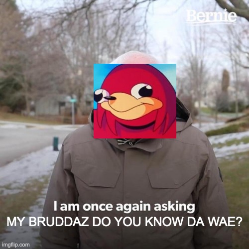 Bernie I Am Once Again Asking For Your Support |  MY BRUDDAZ DO YOU KNOW DA WAE? | image tagged in memes,bernie i am once again asking for your support | made w/ Imgflip meme maker